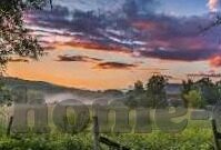 世界杯直播谁快-世界杯直播，谁更快？